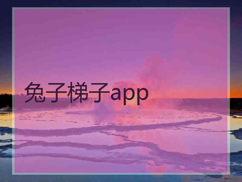 兔子梯子app